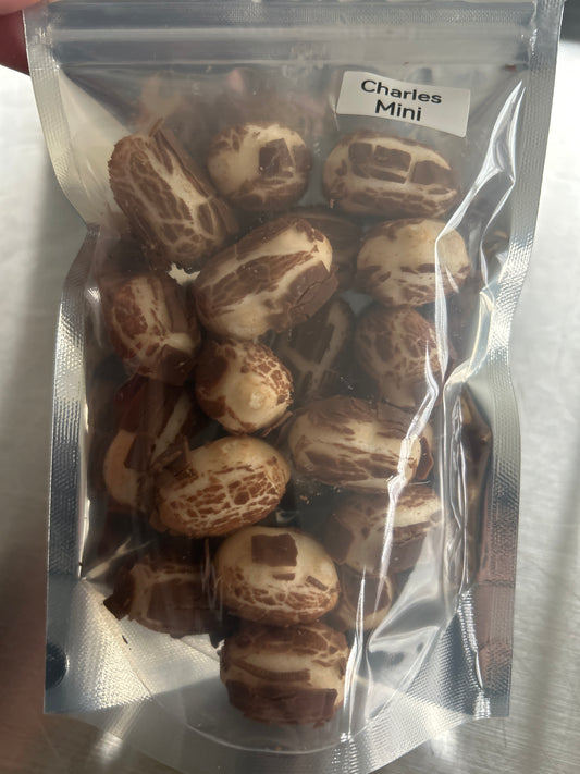 Charles Mini